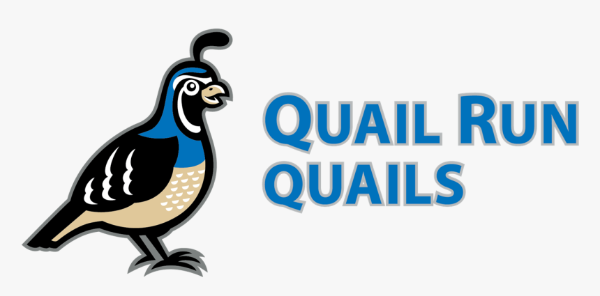 About Quail Run, HD Png Download, Free Download