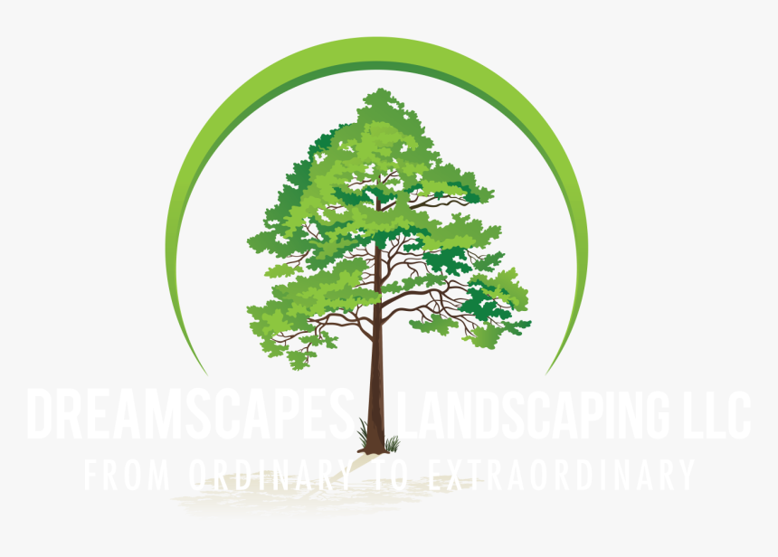 Vector Landscaping Landscape Design, HD Png Download, Free Download