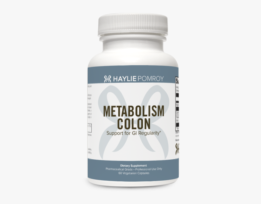 Metabolism Colon, HD Png Download, Free Download