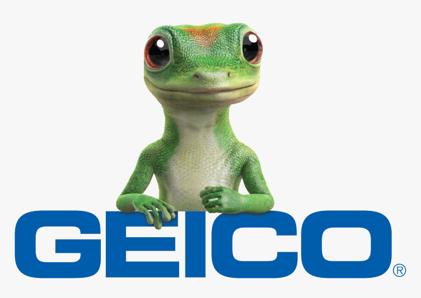 Geico Insurance Png Download Transparent Png Kindpng