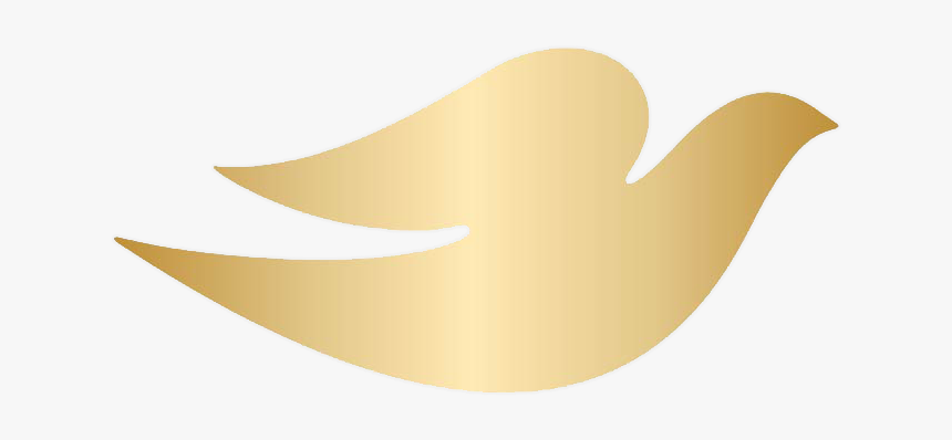 Dove Icon Png, Transparent Png - Kindpng