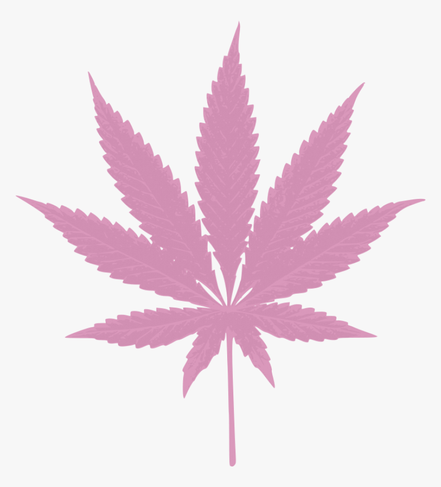 Paradiso Gardens Sativa Hybrid Leaf, HD Png Download, Free Download