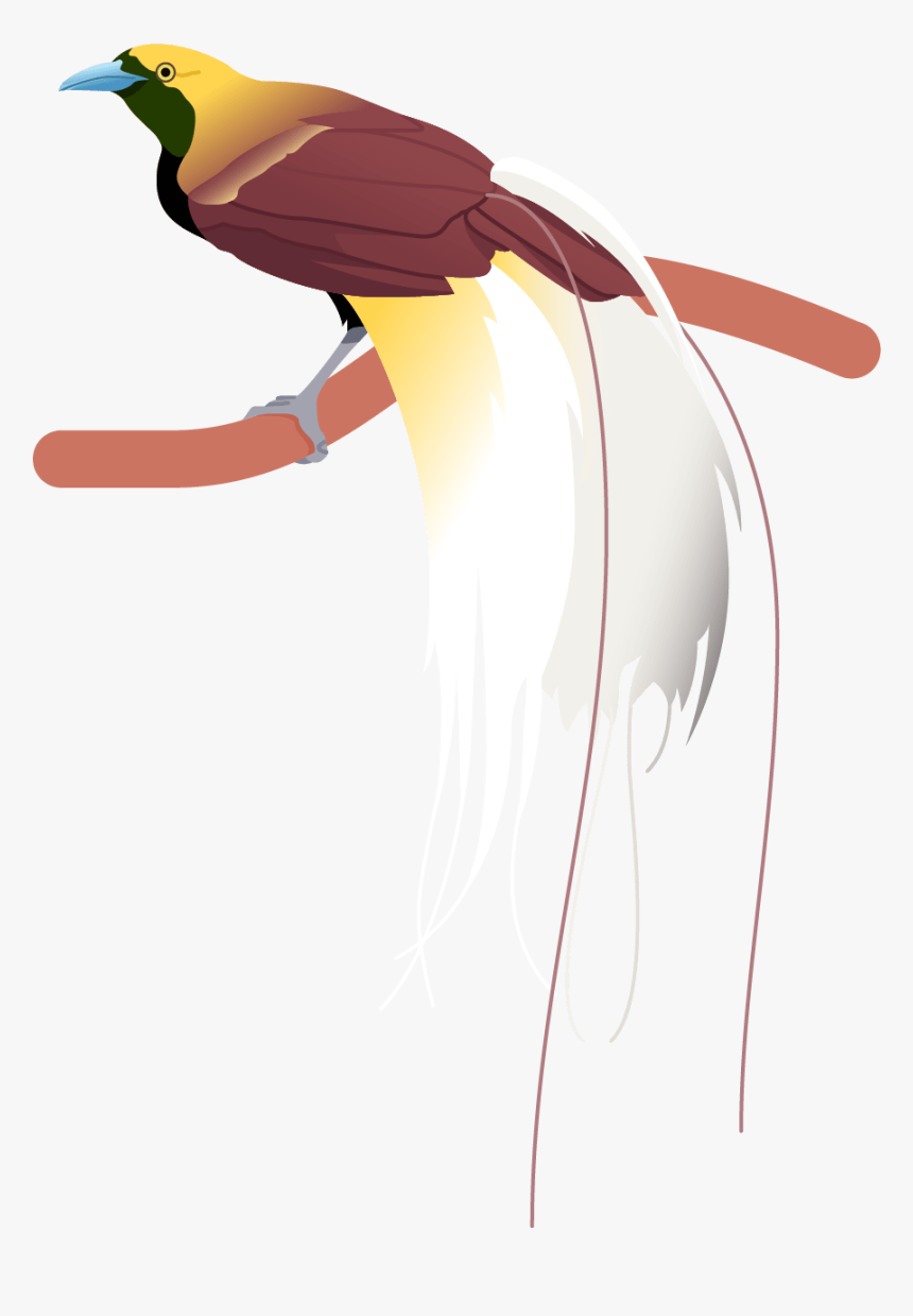 Bird Of Paradise Png, Transparent Png, Free Download