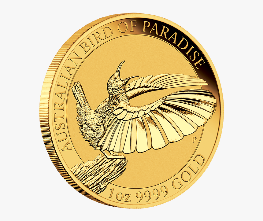 Birds Of Paradise Victoria"s Riflebird 1oz Gold Coin, HD Png Download, Free Download