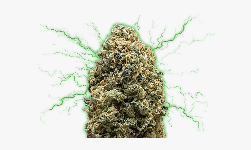 Monster Bruce Banner, HD Png Download, Free Download