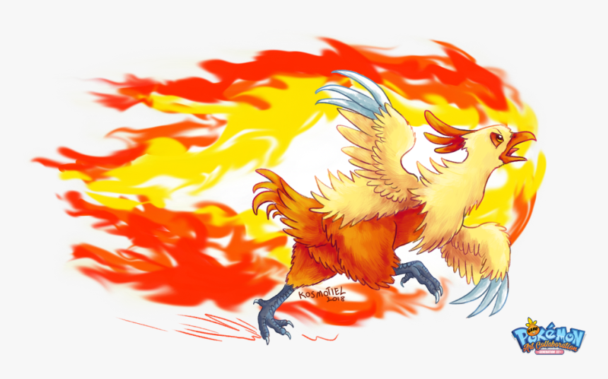 Combusken Png, Transparent Png, Free Download