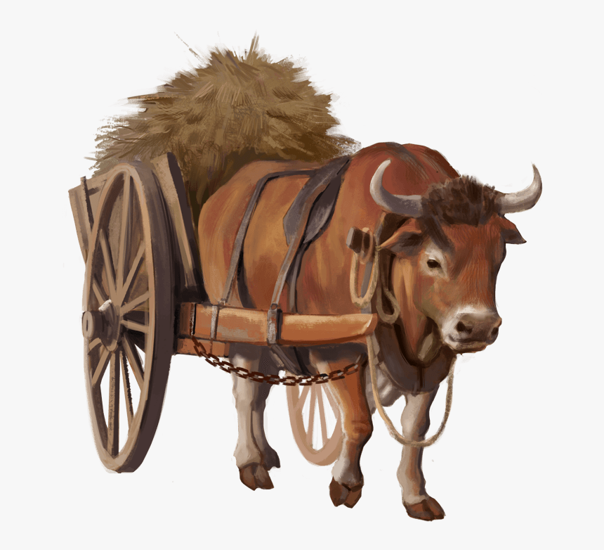 Ox , Png Download, Transparent Png, Free Download