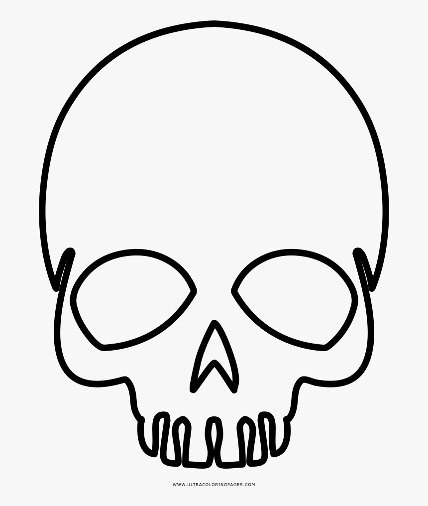 Halloween Skeleton Png, Transparent Png, Free Download