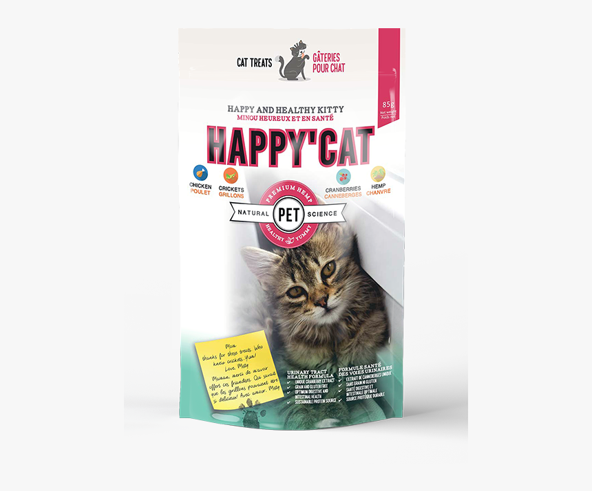 Happy"cat - Kitten, HD Png Download, Free Download