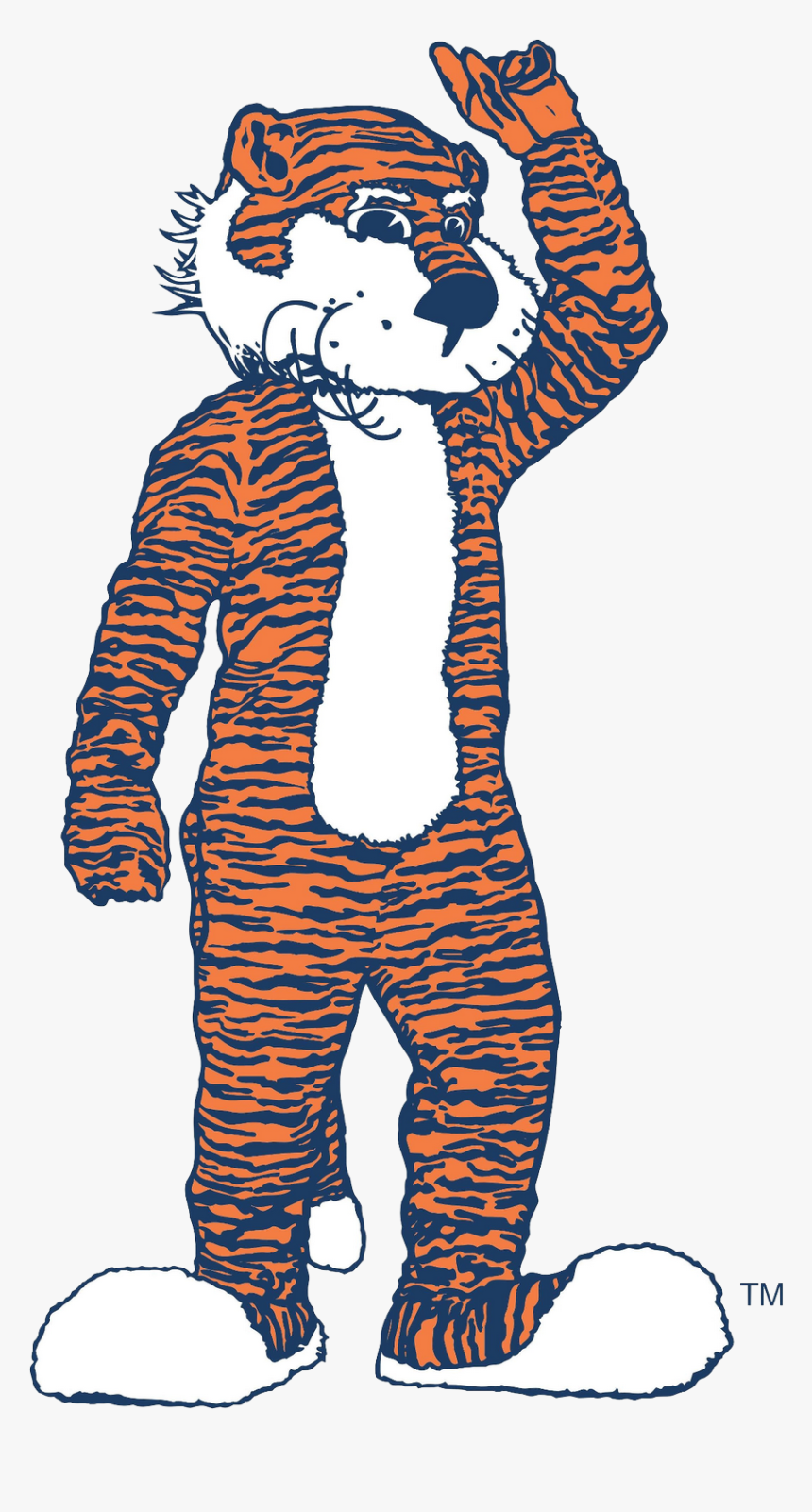 View of cartoon tiger - team mascot, #851518