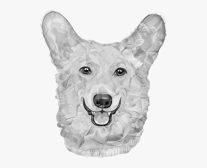 Dog, German Dog, White Dogs, Black And White, Poly - Dog, HD Png Download, Free Download