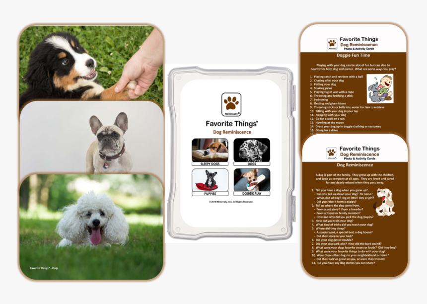 Companion Dog, HD Png Download, Free Download