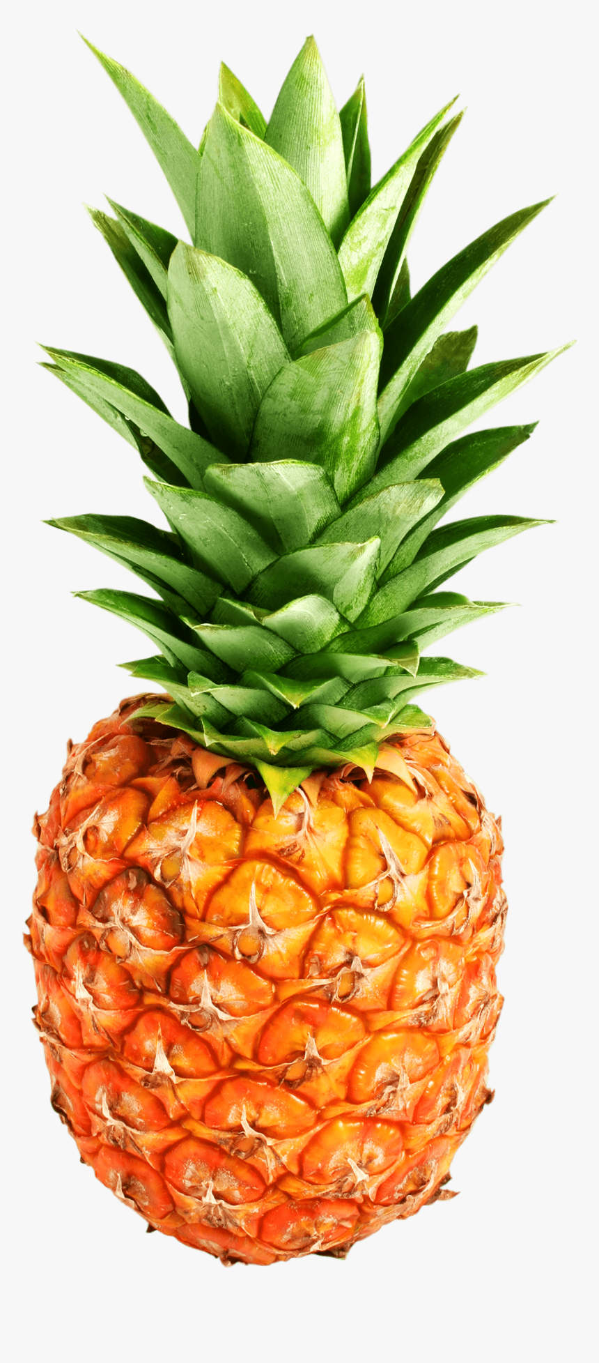 Descargar Pineapple Png- - Pineapple Png, Transparent Png, Free Download