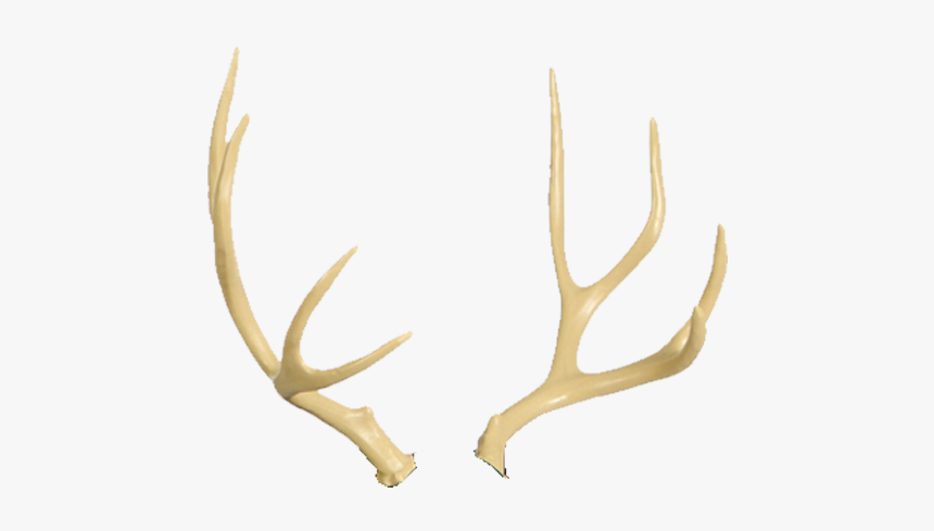 Deer Antler Png - Deer Antlers Png, Transparent Png, Free Download