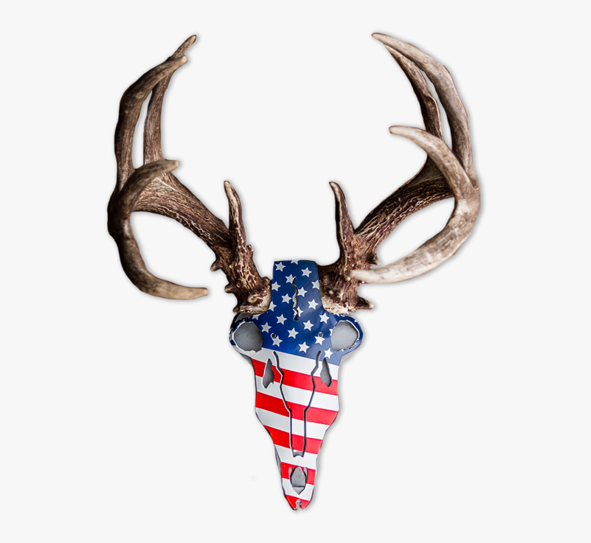 Iron Buck Antler Mount, HD Png Download, Free Download