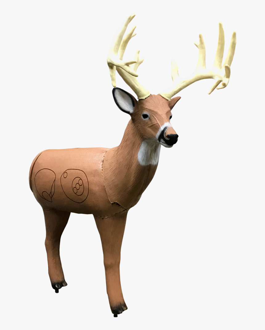 Bionic Buck Iii Field Point Classic 3d Archery Target - 3d Archery Targets, HD Png Download, Free Download