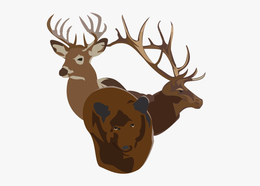 Bucks Bulls Bears - Elk, HD Png Download, Free Download