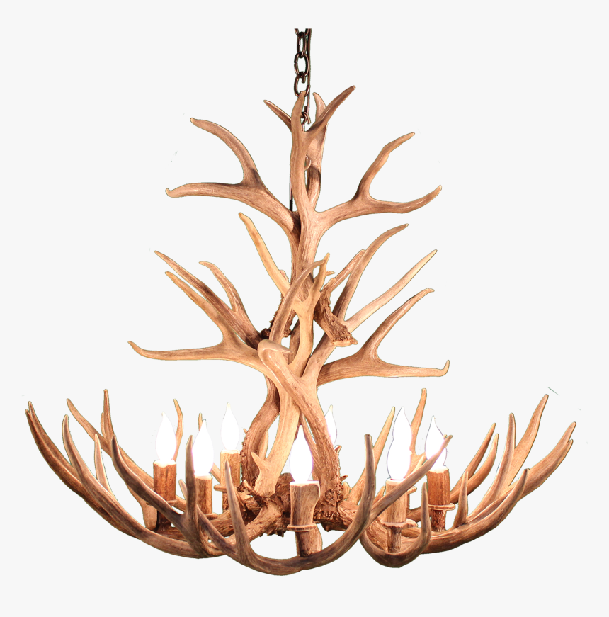 Deer Antler Png - Wood, Transparent Png, Free Download