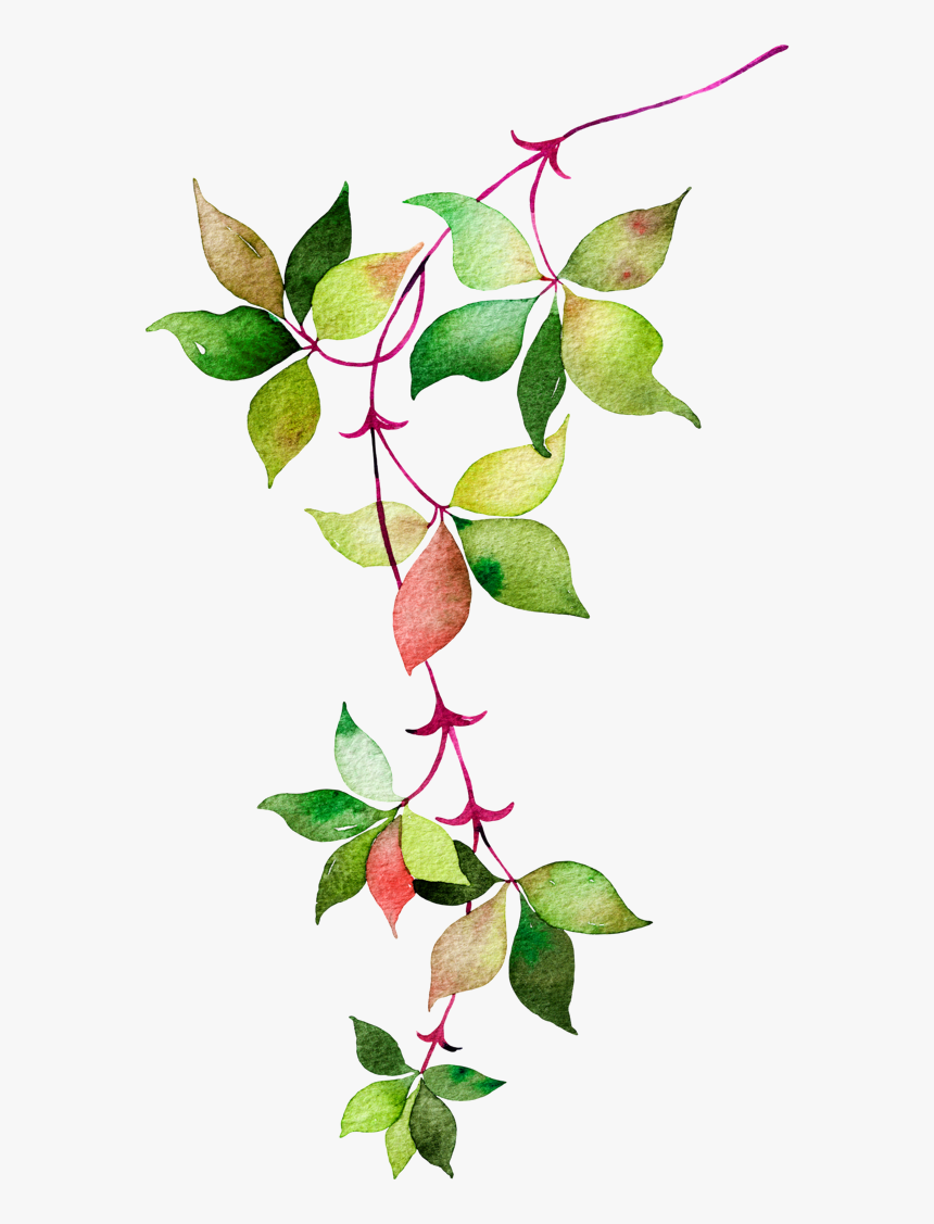 Flower Leaves Watercolor Euclidean Vector Icon Clipart - Mint Vector Icon Png, Transparent Png, Free Download