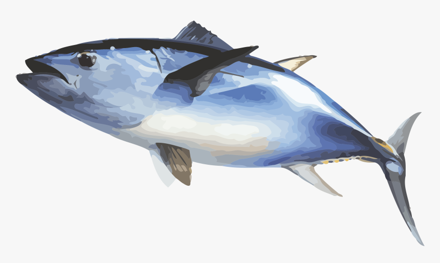 Fish Ecosia Inewconcom Your Transparent Background - Bluefin Tuna Fish Transparent, HD Png Download, Free Download