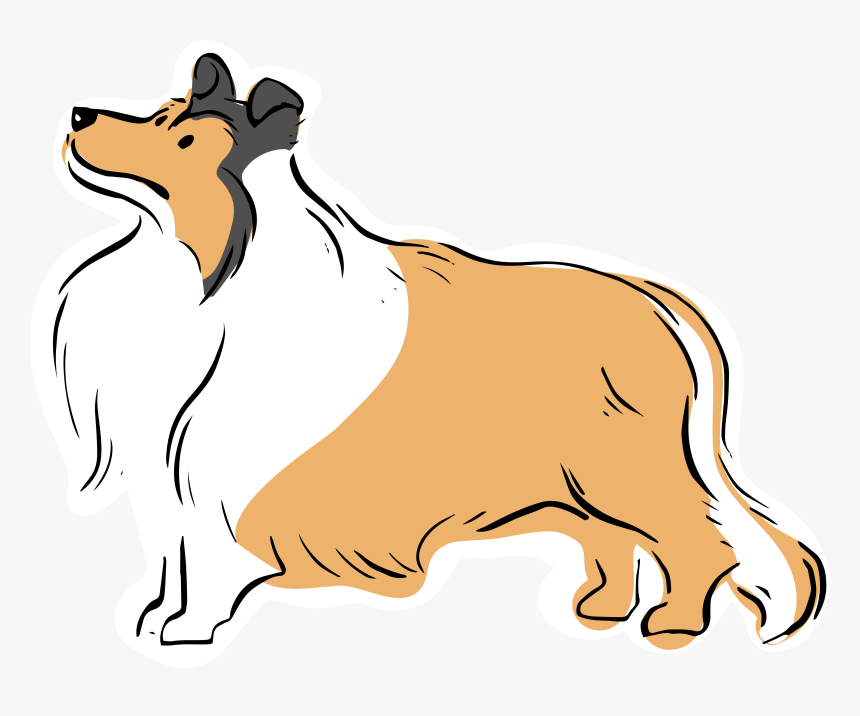 Dog Sighting Alert Shaggy Tan/white Collie Mix Seen - Collie Rough Png, Transparent Png, Free Download