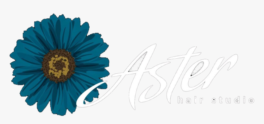 Aster Hair Studio , Png Download, Transparent Png, Free Download