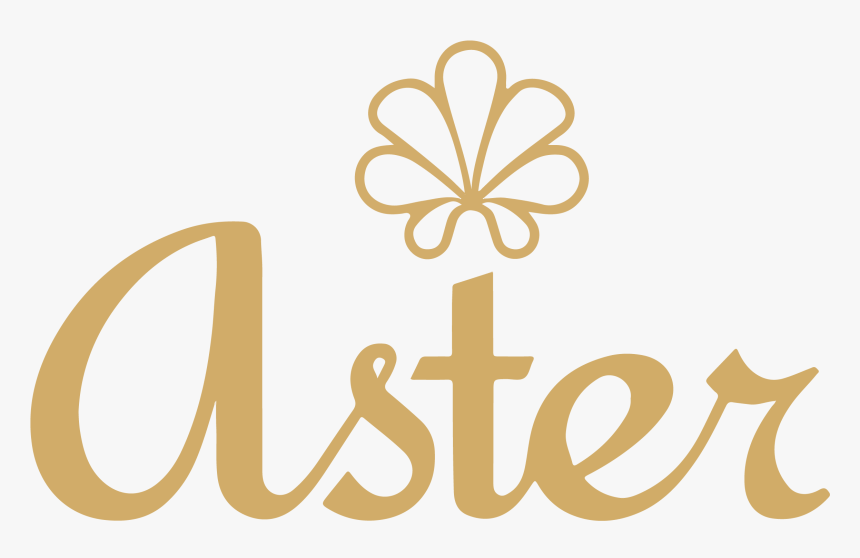 Aster Png, Transparent Png, Free Download