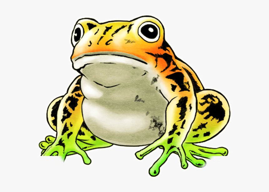 Wednesday Frog Png, Transparent Png, Free Download