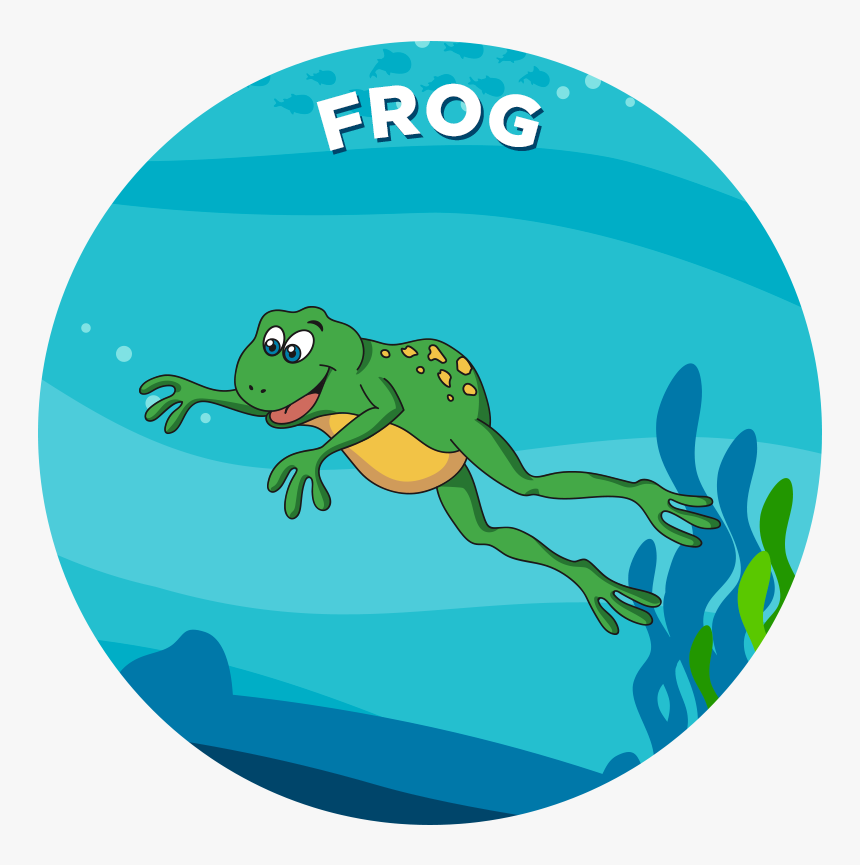 Wednesday Frog Png, Transparent Png, Free Download