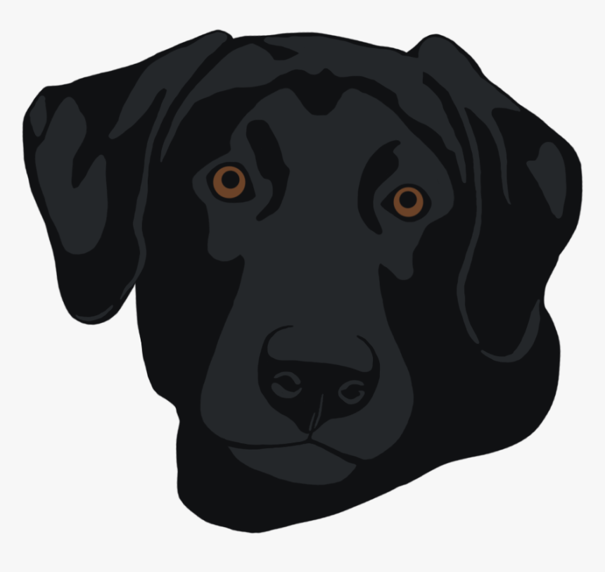 Black Lab Head, HD Png Download, Free Download