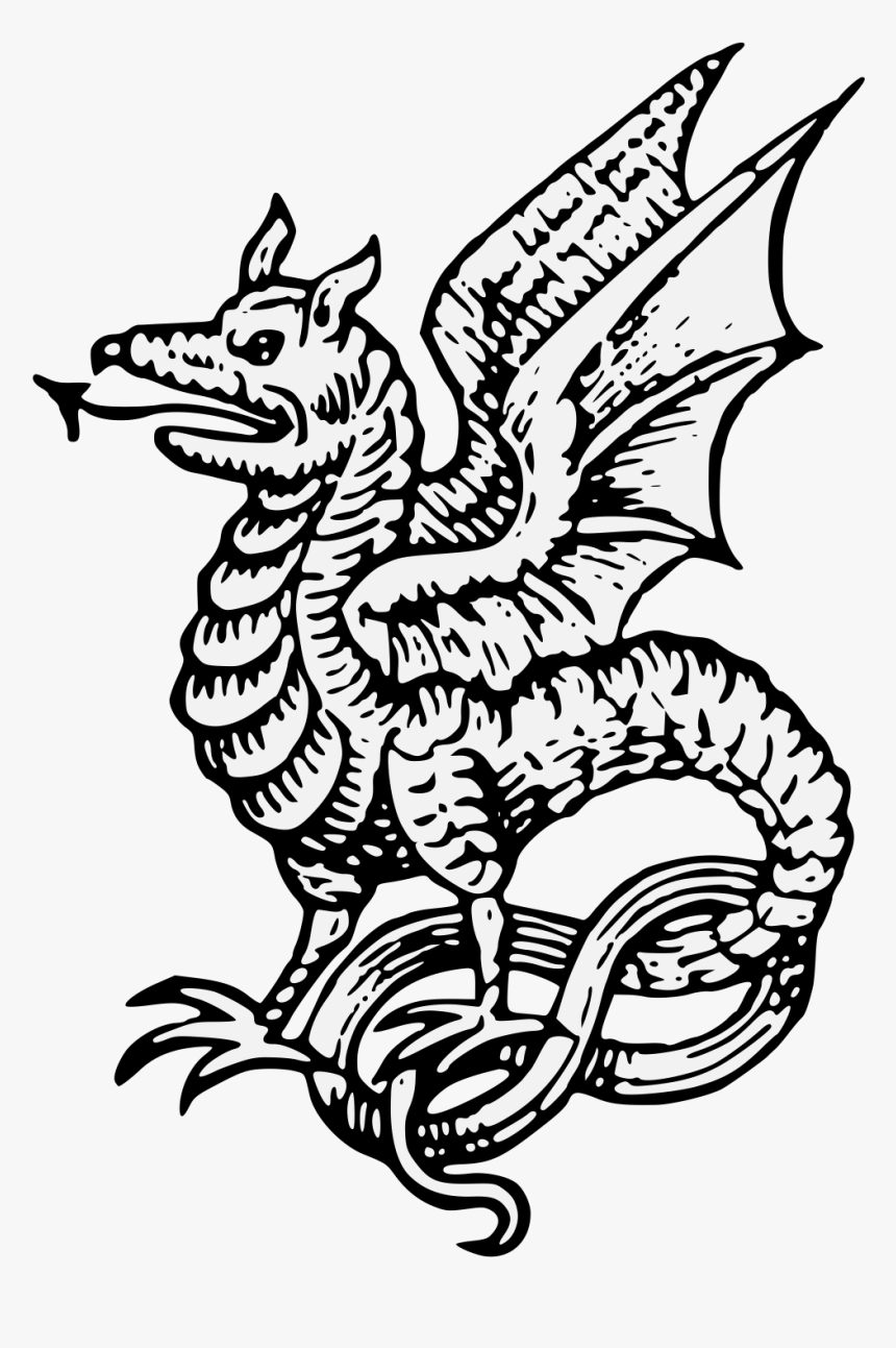 Wyvern Png, Transparent Png, Free Download