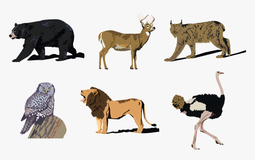 Forest Animals Png, Transparent Png, Free Download