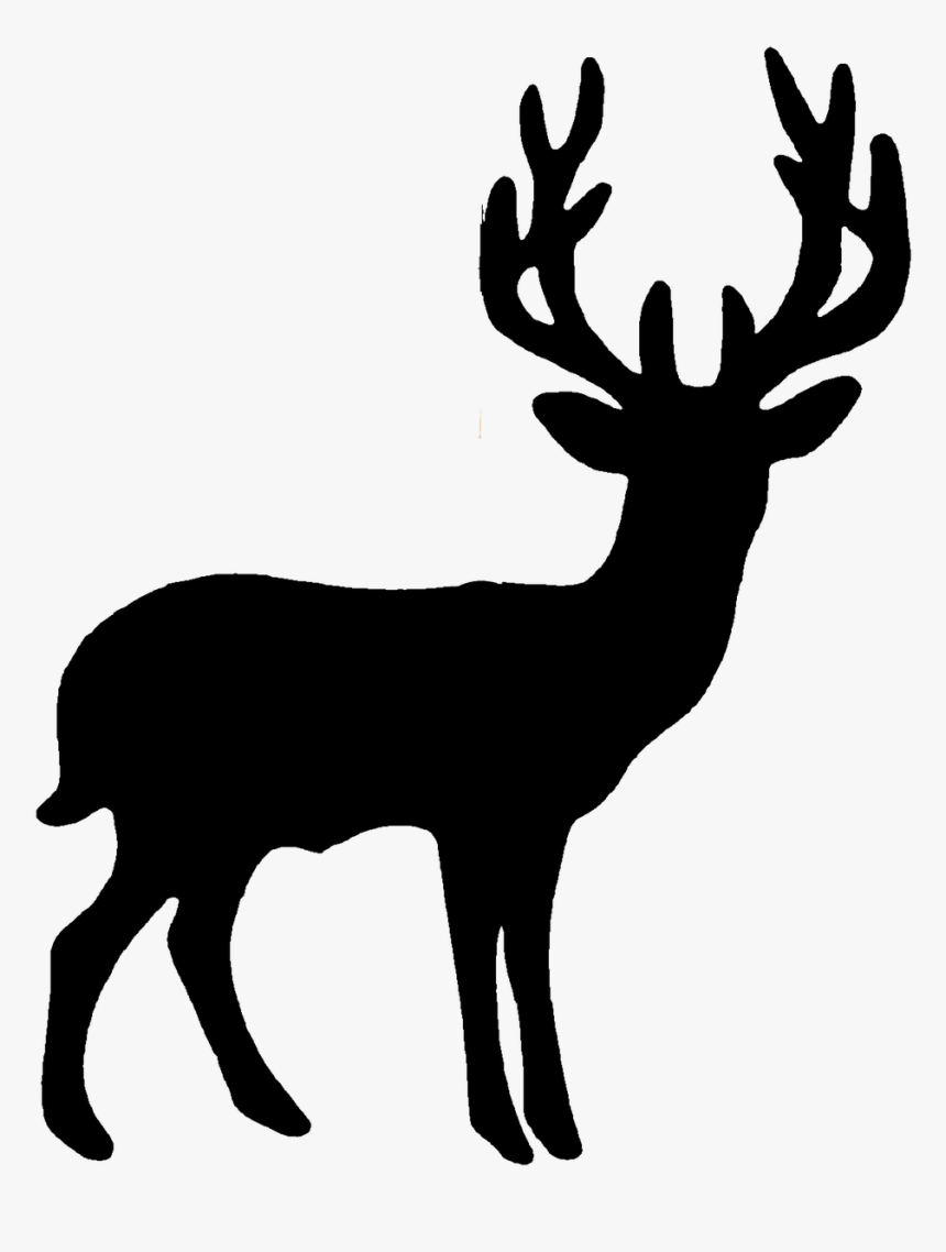 cerf animal deer free photo hd png download kindpng cerf animal deer free photo hd png