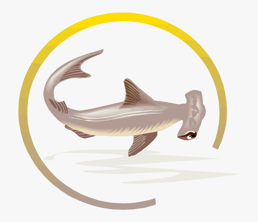Free Shark Clipart, HD Png Download, Free Download