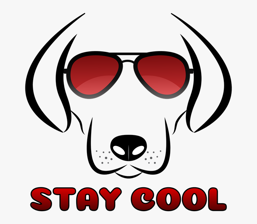 Cool Shades Png, Transparent Png, Free Download