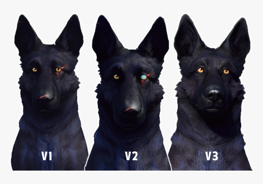 Dogmeat Png, Transparent Png, Free Download