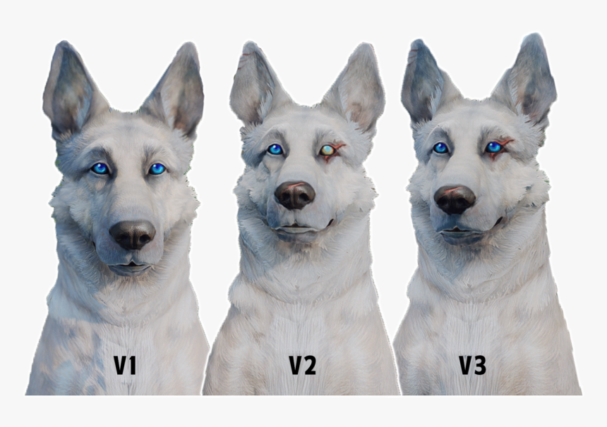 Dogmeat Png, Transparent Png, Free Download