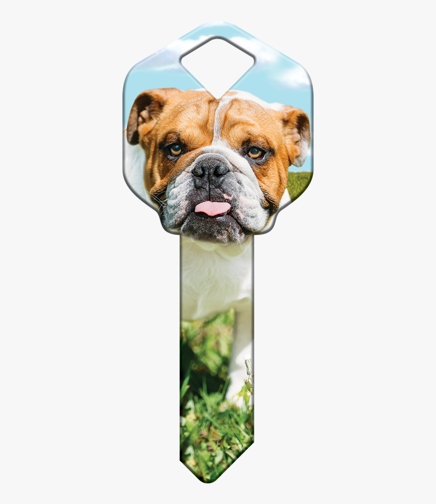 House Keys Png, Transparent Png, Free Download