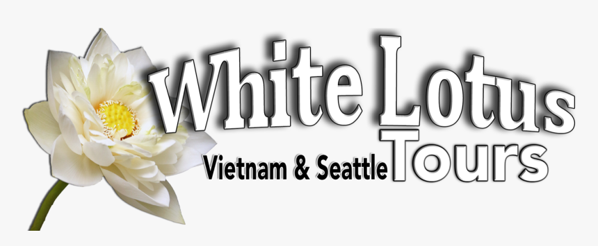 White Lotus Png, Transparent Png, Free Download