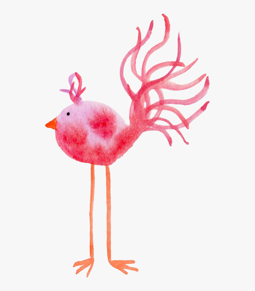 Pink Watercolor Bird Feather Friday, HD Png Download, Free Download