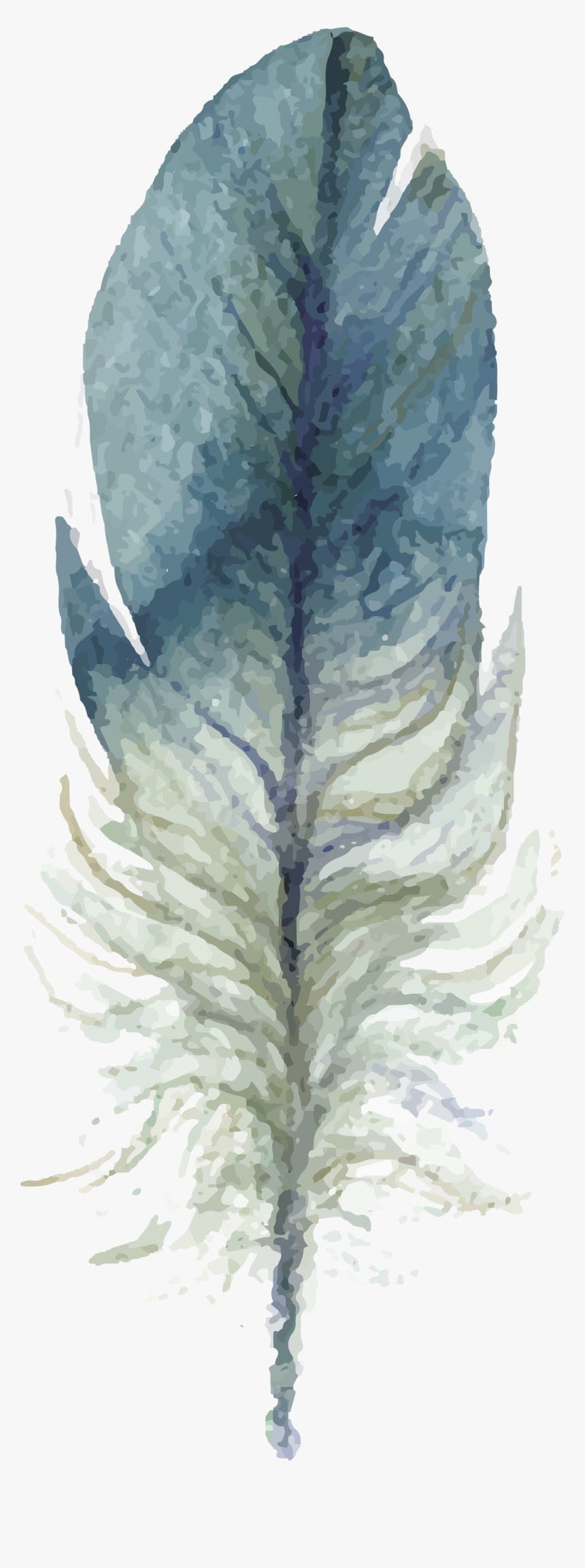 Watercolor Feather Png, Transparent Png, Free Download