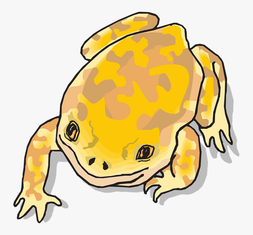 Jungle Clipart Frog, HD Png Download, Free Download