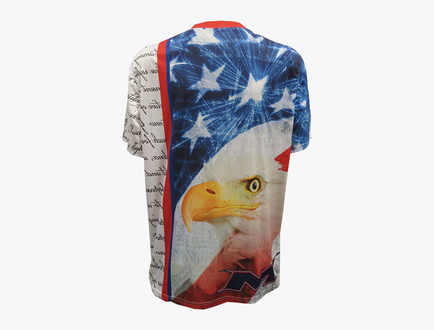 Usa Eagle Png, Transparent Png, Free Download