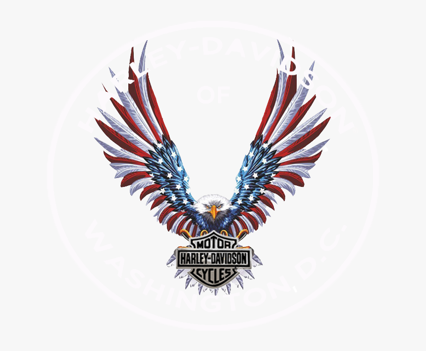 Usa Eagle Png, Transparent Png, Free Download