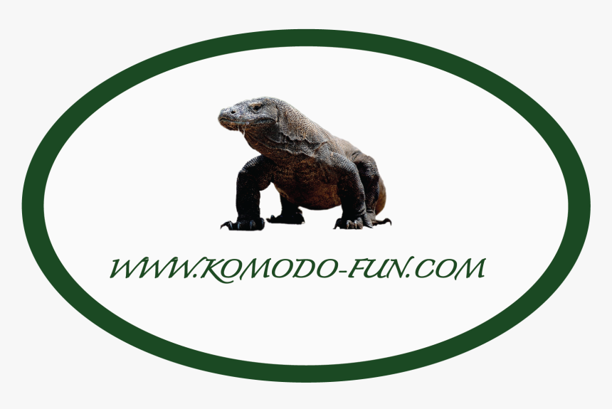 Komodo Dragon, HD Png Download, Free Download