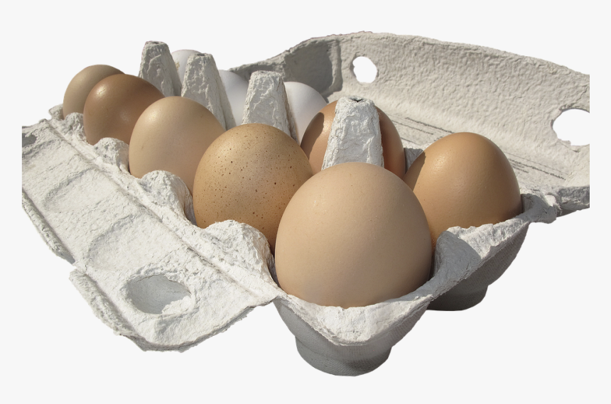 Egg, Hen"s Egg, Egg Carton, Lots Of Eggs, Egg Packaging - Come Conservare Le Uova, HD Png Download, Free Download