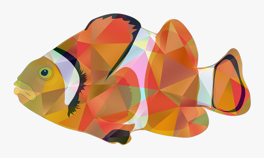 Transparent Fish Illustration Png - Cartoon Ocean Fish, Png Download, Free Download