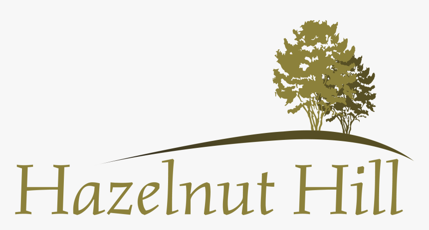 Hazelnut Hill - Tree, HD Png Download, Free Download