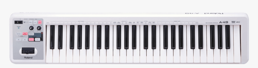 Roland A49 White, HD Png Download, Free Download