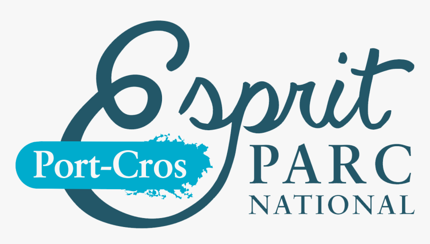 Esprit Parc National Port Cros Transparent - Piazza Del Campo, HD Png Download, Free Download